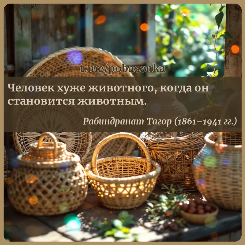 «Человек хуже животного, когда он становится...» height="550" width="550"
