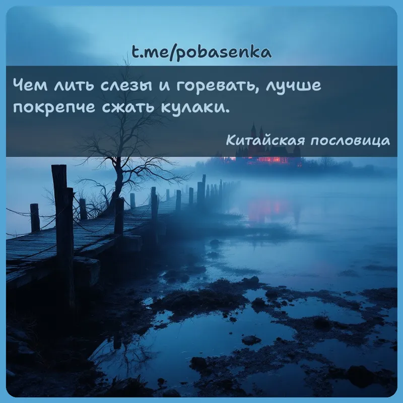 «Чем лить слезы и горевать, лучше покрепче сжать...» height="550" width="550"