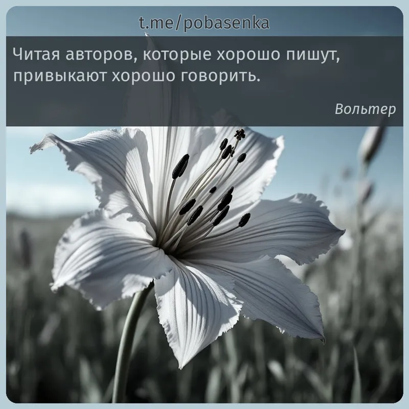 «Читая авторов, которые хорошо пишут, привыкают хорошо...» height="550" width="550"