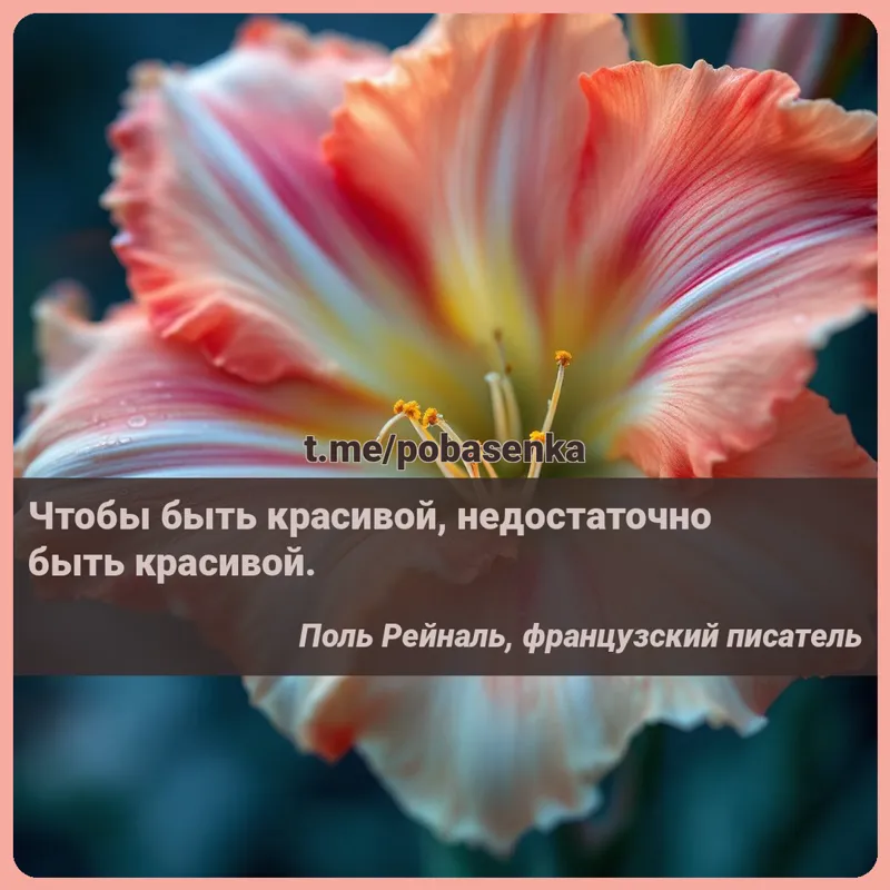 «Чтобы быть красивой, недостаточно быть...» height="550" width="550"