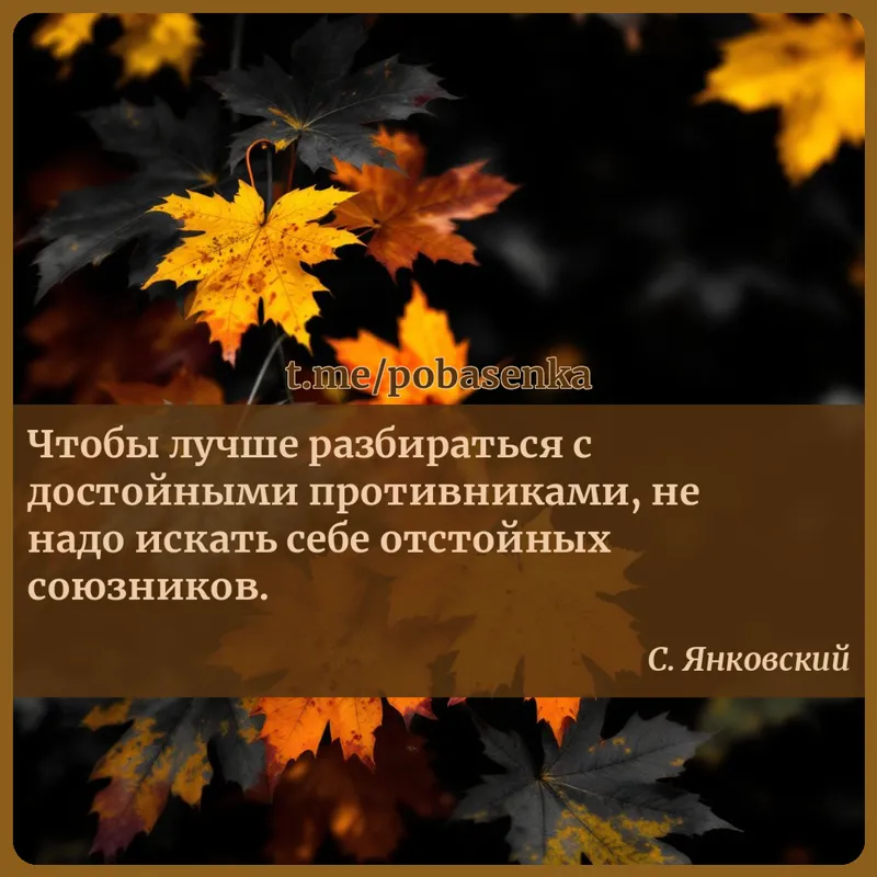 «Чтобы лучше разбираться с достойными противниками, не надо искать себе отстойных...» height="550" width="550"