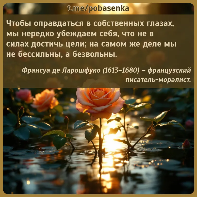 «Чтобы оправдаться в собственных глазах, мы нередко убеждаем себя, что не в силах достичь цели; на самом же деле мы не...» height="550" width="550"