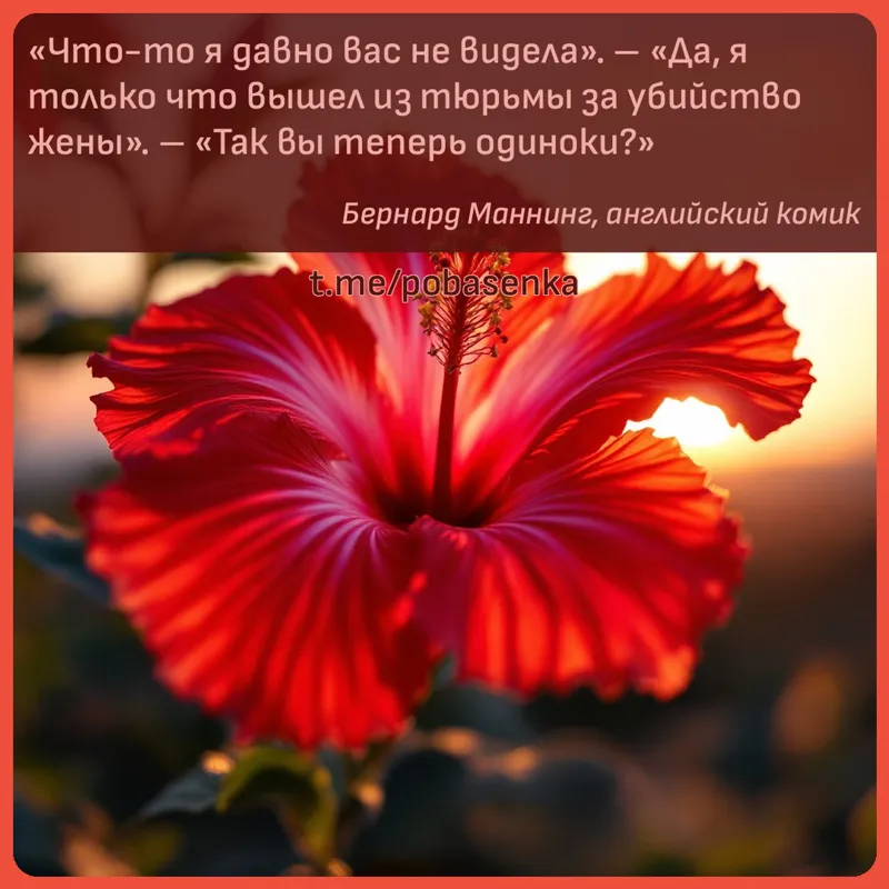 «Что то я давно вас не видела. Да, я только что вышел из тюрьмы за убийство жены. Так вы теперь...» height="550" width="550"