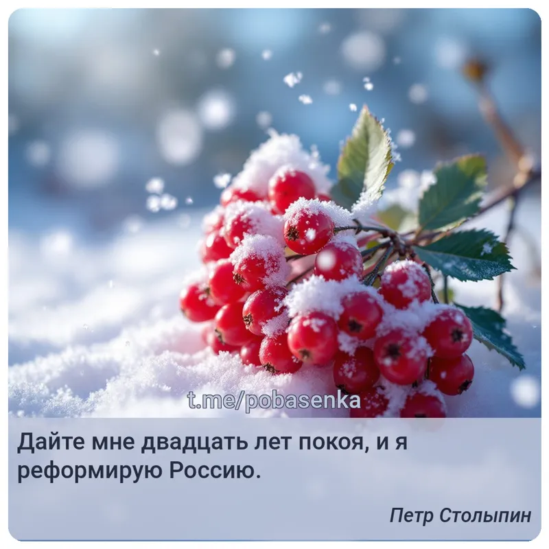 «Дайте мне двадцать лет покоя, и я реформирую...» height="550" width="550"