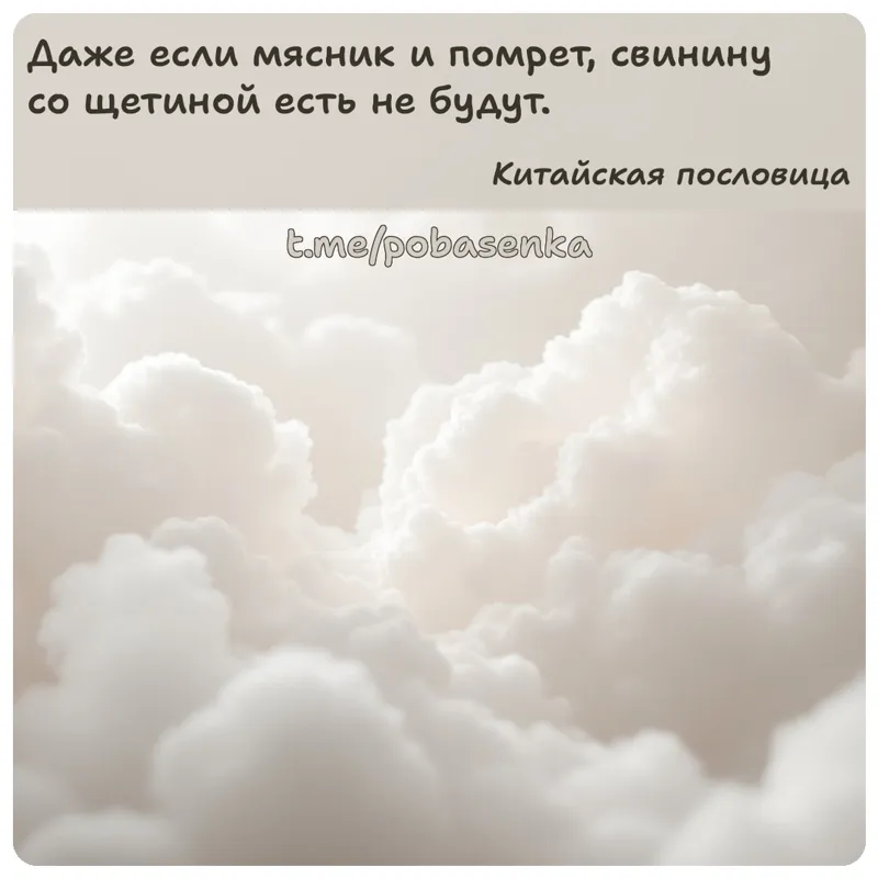 «Даже если мясник и помрет, свинину со щетиной есть не...» height="550" width="550"