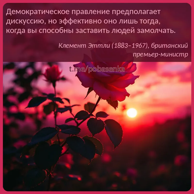 «Демократическое правление предполагает дискуссию, но эффективно оно лишь тогда, когда вы способны заставить людей...» height="550" width="550"