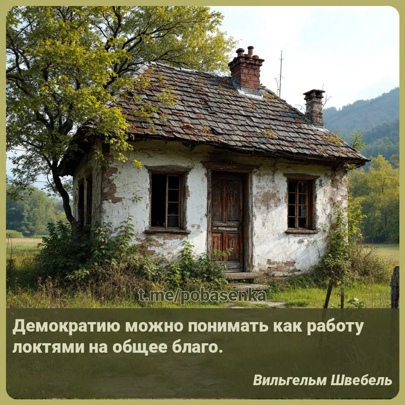 «Демократию можно понимать как работу локтями на общее...» height="550" width="550"