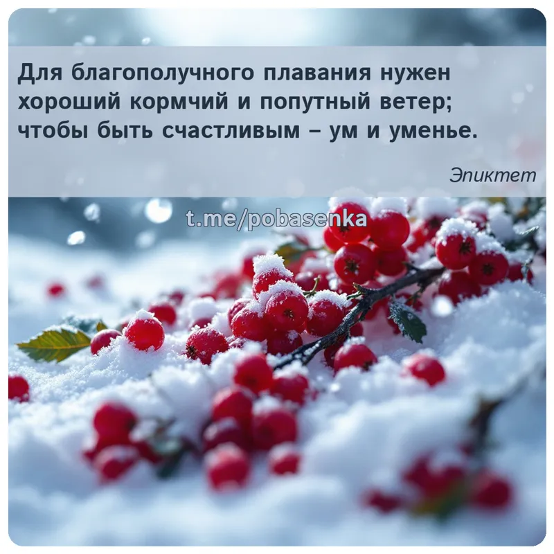 «Для благополучного плавания нужен хороший кормчий и попутный ветер; чтобы быть счастливым ум и...» height="550" width="550"
