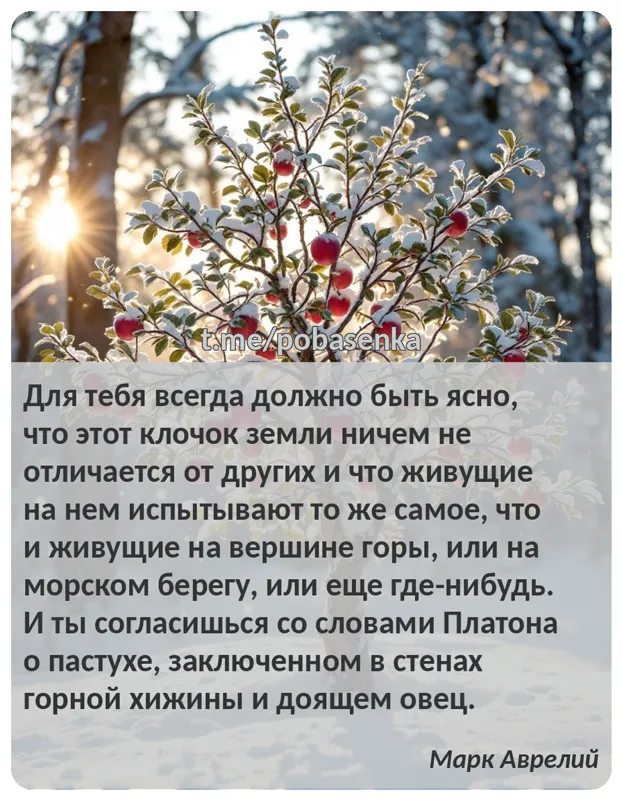 «Для тебя всегда должно быть ясно, что этот клочок земли ничем не отличается от других и что живущие на нем испытывают то же...» height="550" width="550"