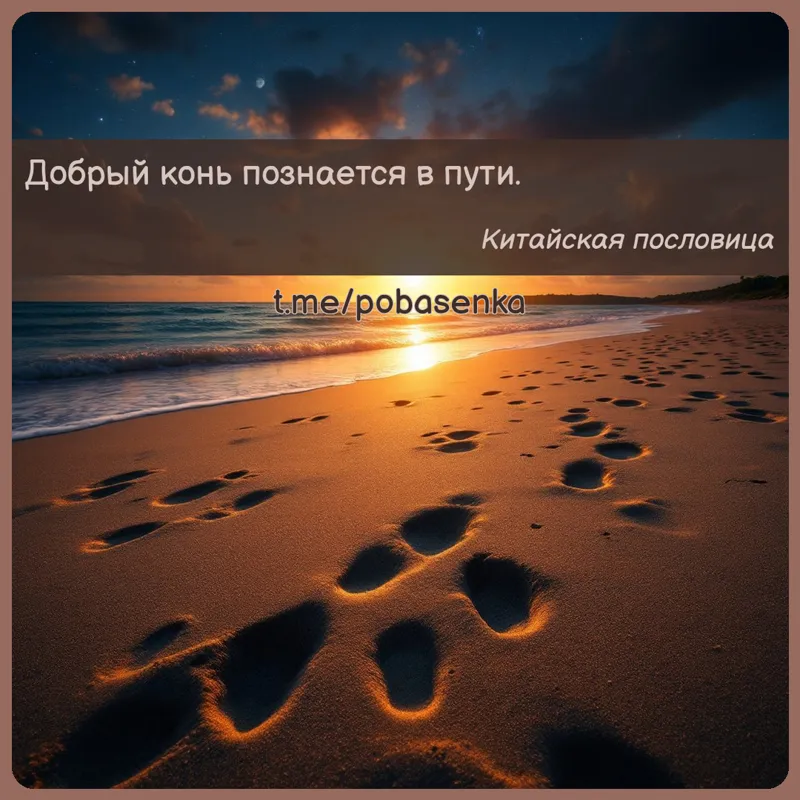 «Добрый конь познается в...» height="550" width="550"