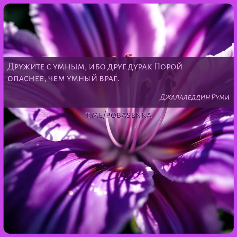 «Дружите с умным, ибо друг дурак Порой опаснее, чем умный...» height="550" width="550"