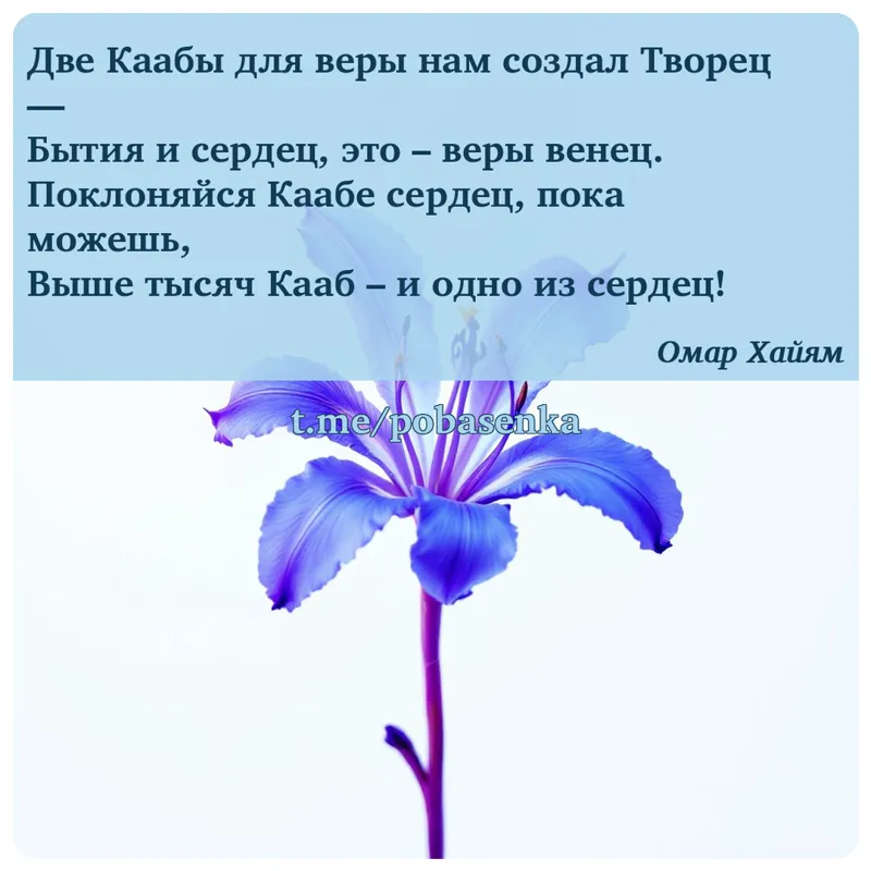 «Две Каабы для веры нам создал Творец — Бытия и сердец, это веры венец. Поклоняйся Каабе сердец, пока можешь, Выше тысяч Кааб...» height="550" width="550"