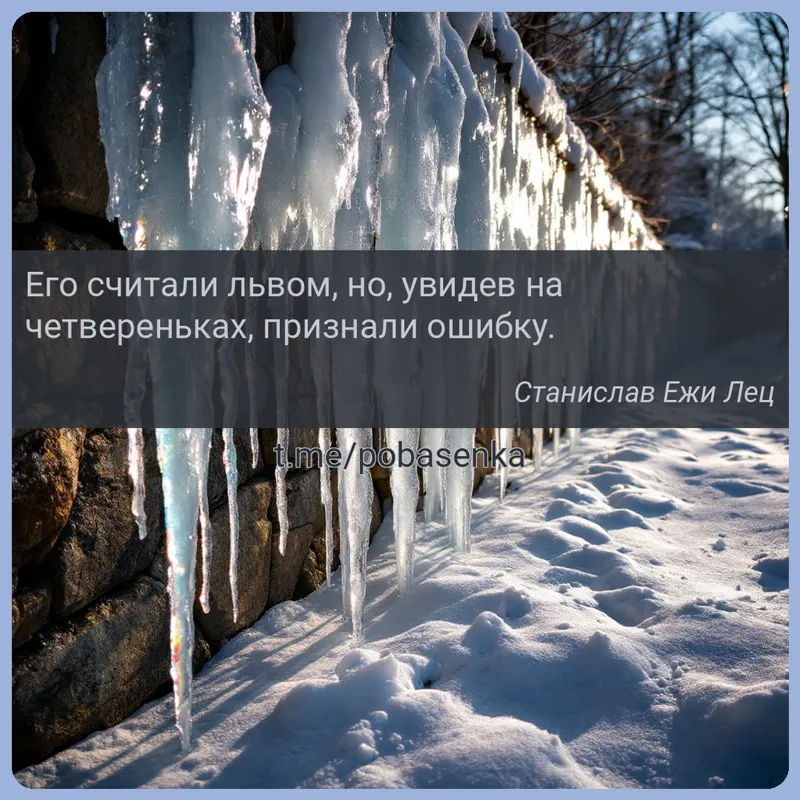 «Его считали львом, но, увидев на четвереньках, признали...» height="550" width="550"