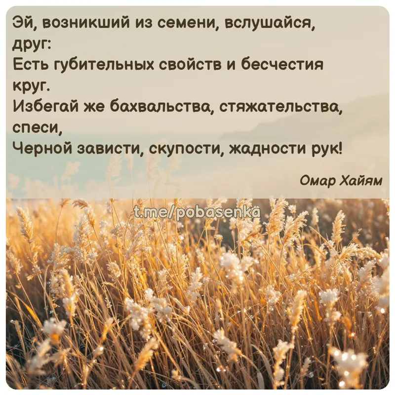 «Эй, возникший из семени, вслушайся, друг Есть губительных свойств и бесчестия круг. Избегай же бахвальства, стяжательства,...» height="550" width="550"