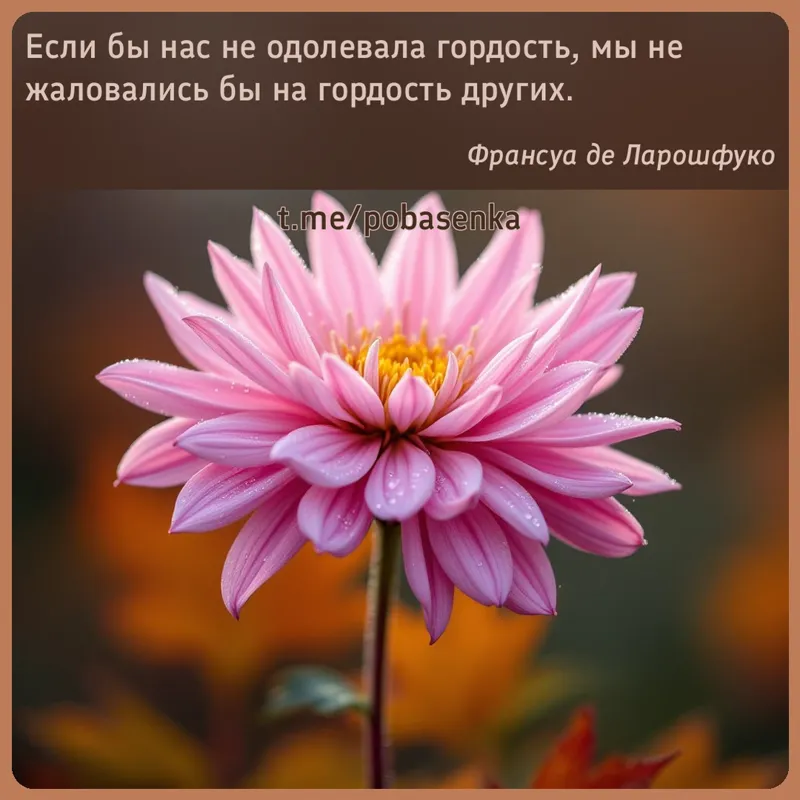 «Если бы нас не одолевала гордость, мы не жаловались бы на гордость...» height="550" width="550"