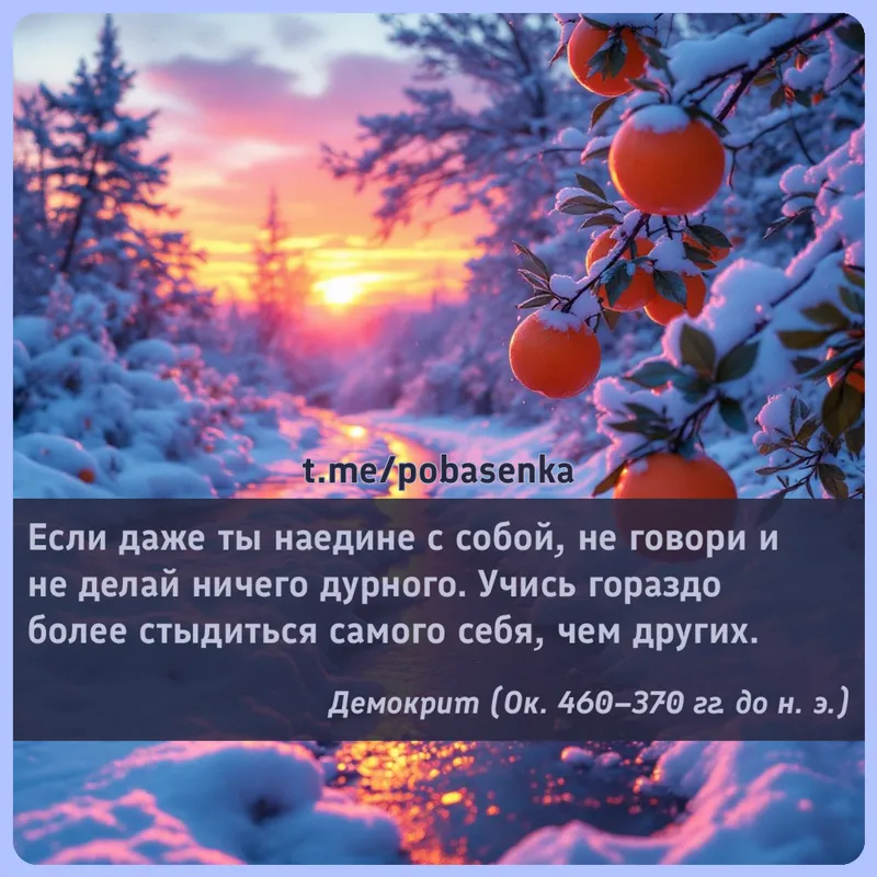 «Если даже ты наедине с собой, не говори и не делай ничего дурного. Учись гораздо более стыдиться самого себя, чем...» height="550" width="550"