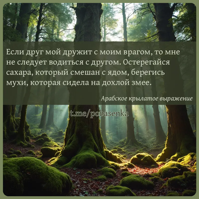 «Если друг мой дружит с моим врагом, то мне не следует водиться с другом. Остерегайся сахара, который смешан с ядом, берегись...» height="550" width="550"