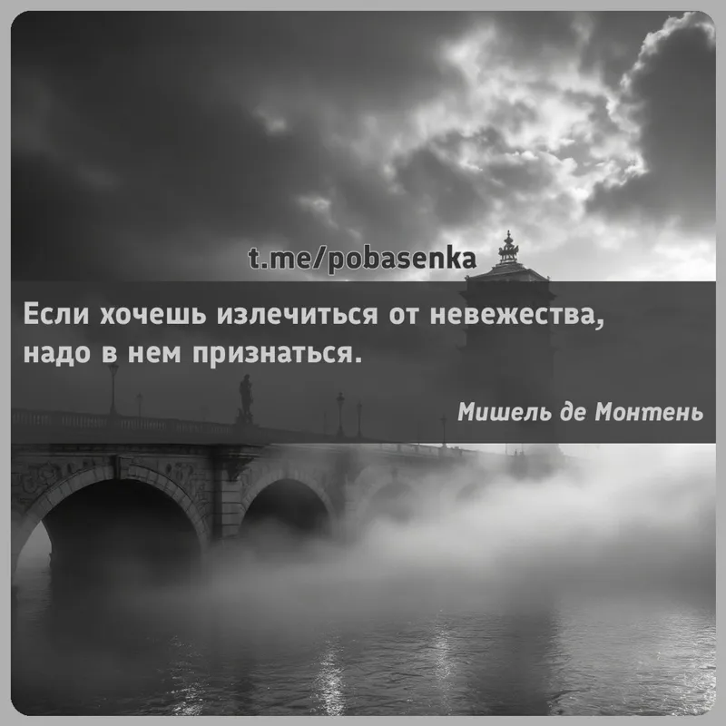 «Если хочешь излечиться от невежества, надо в нем...» height="550" width="550"