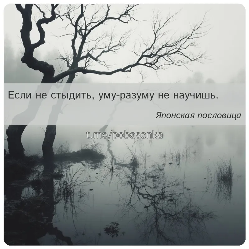 «Если не стыдить, уму разуму не...» height="550" width="550"