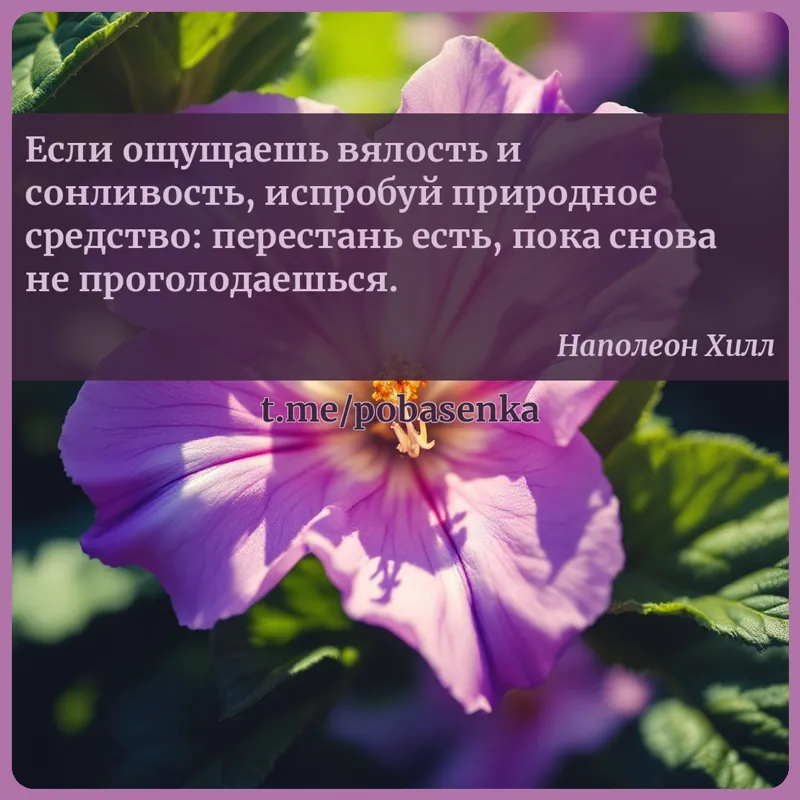 «Если ощущаешь вялость и сонливость, испробуй природное средство перестань есть, пока снова не...» height="550" width="550"