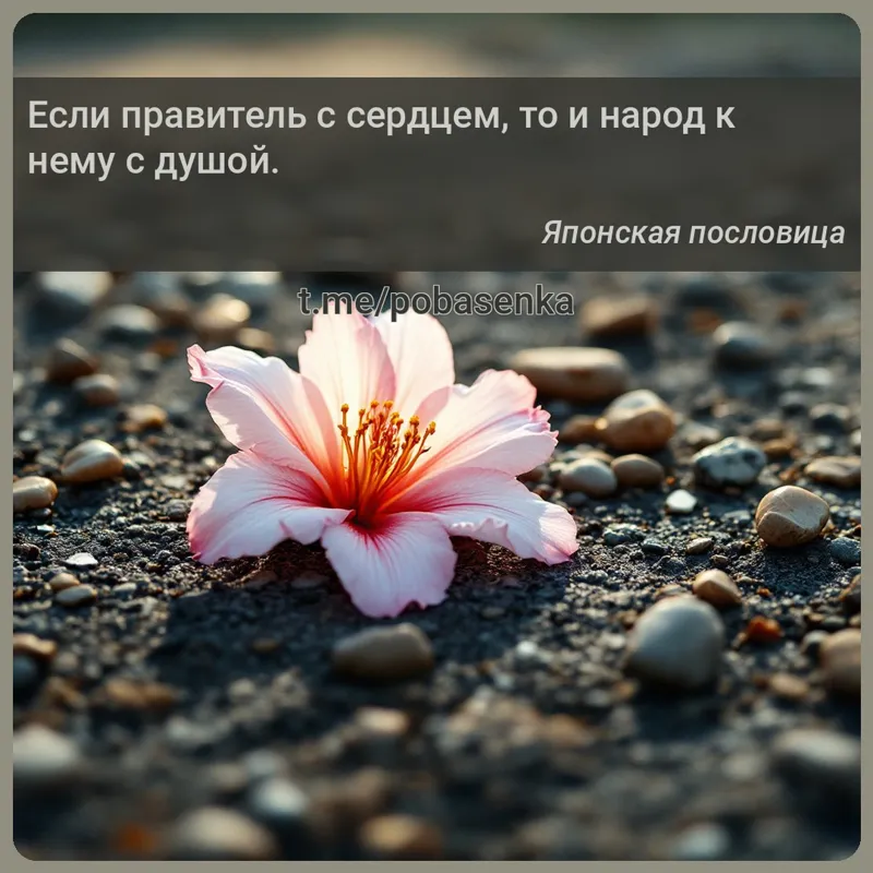 «Если правитель с сердцем, то и народ к нему с...» height="550" width="550"