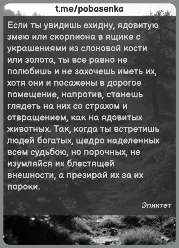 «Если ты увидишь ехидну, ядовитую змею или скорпиона в ящике с украшениями из слоновой кости или золота, ты все равно не...» height="550" width="550"