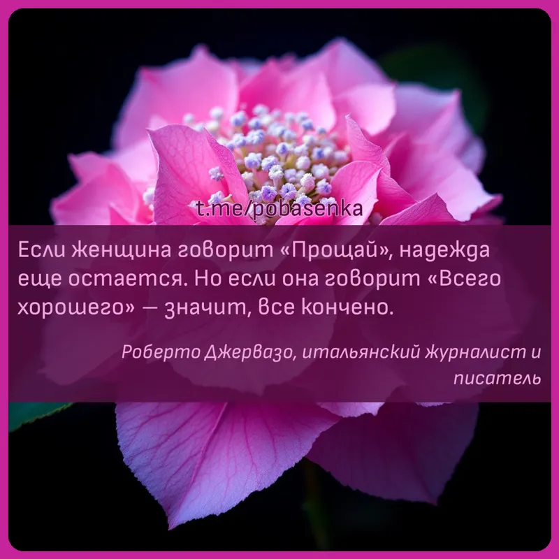 «Если женщина говорит Прощай, надежда еще остается. Но если она говорит Всего хорошего значит, все...» height="550" width="550"