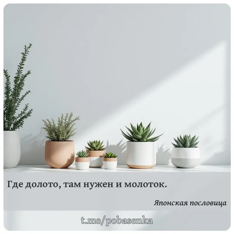 «Где долото, там нужен и...» height="550" width="550"