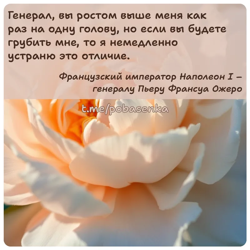 «Генерал, вы ростом выше меня как раз на одну голову, но если вы будете грубить мне, то я немедленно устраню это...» height="550" width="550"
