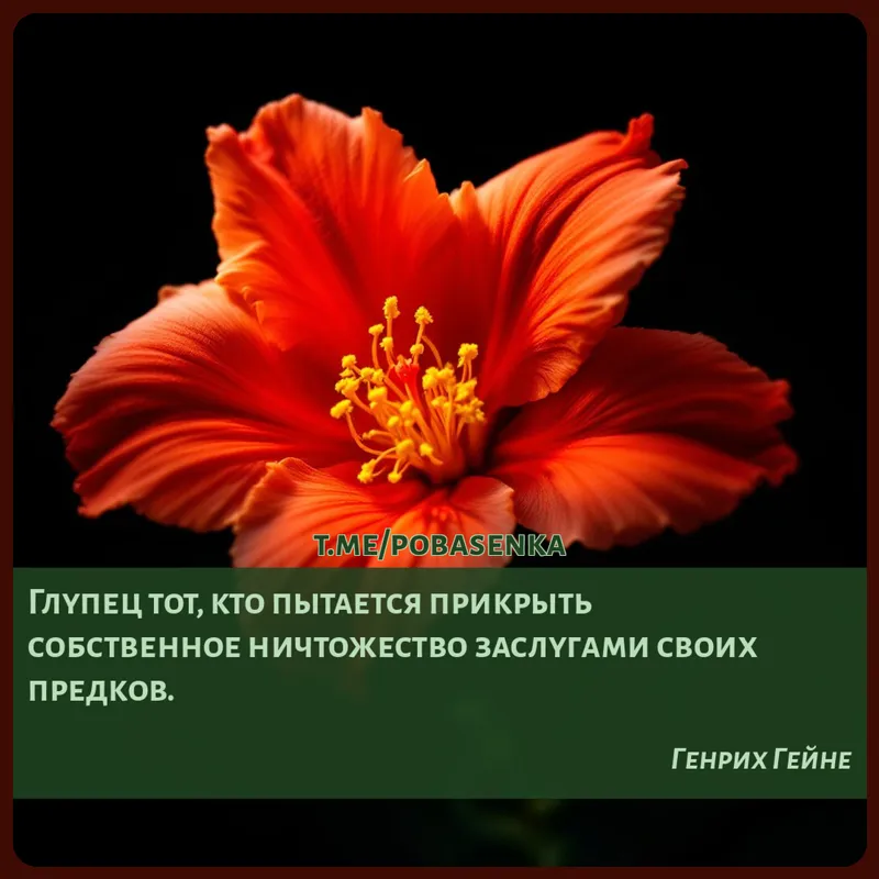 «Глупец тот, кто пытается прикрыть собственное ничтожество заслугами своих...» height="550" width="550"