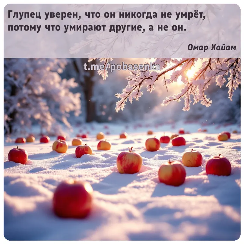 «Глупец уверен, что он никогда не умрёт, потому что умирают другие, а не...» height="550" width="550"