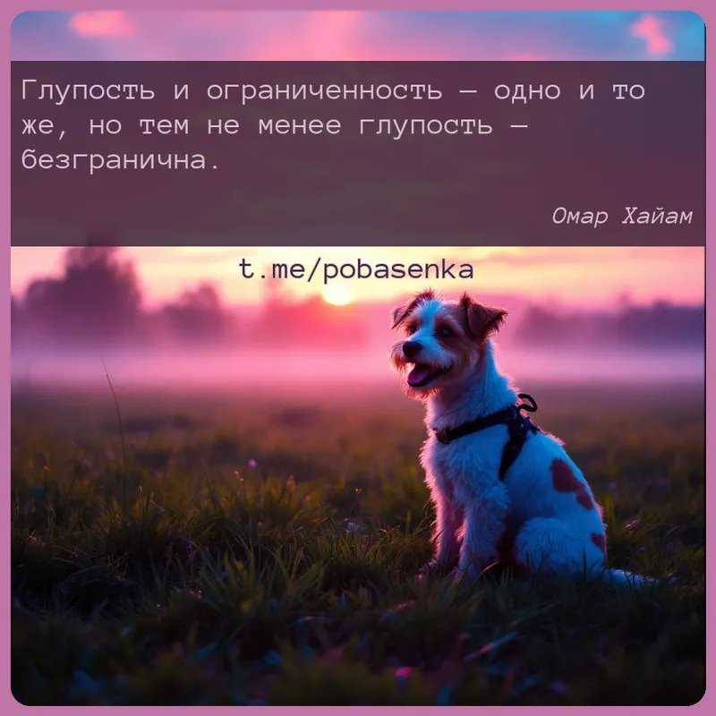 «Глупость и ограниченность — одно и то же, но тем не менее глупость —...» height="550" width="550"