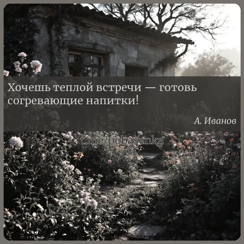 «Хочешь теплой встречи — готовь согревающие...» height="550" width="550"