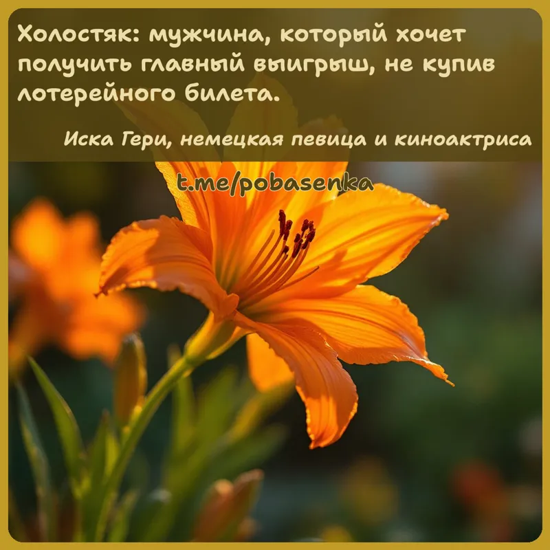 «Холостяк мужчина, который хочет получить главный выигрыш, не купив лотерейного...» height="550" width="550"