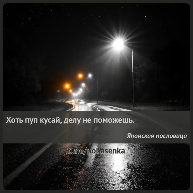 «Хоть пуп кусай, делу не...» height="550" width="550"