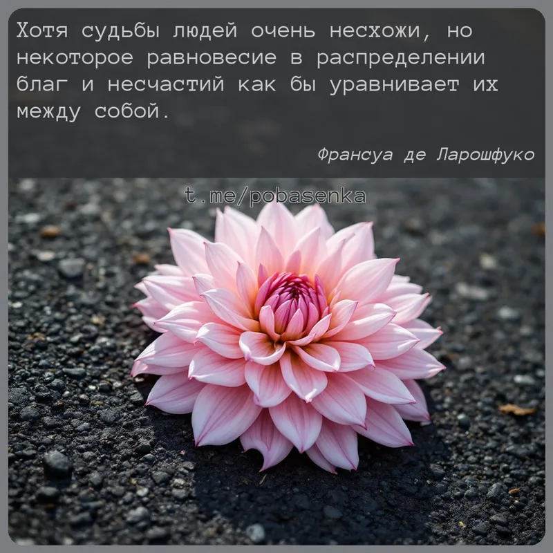«Хотя судьбы людей очень несхожи, но некоторое равновесие в распределении благ и несчастий как бы уравнивает их между...» height="550" width="550"