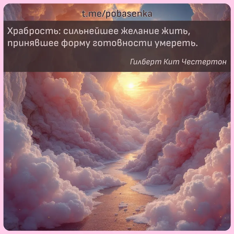 «Храбрость сильнейшее желание жить, принявшее форму готовности...» height="550" width="550"
