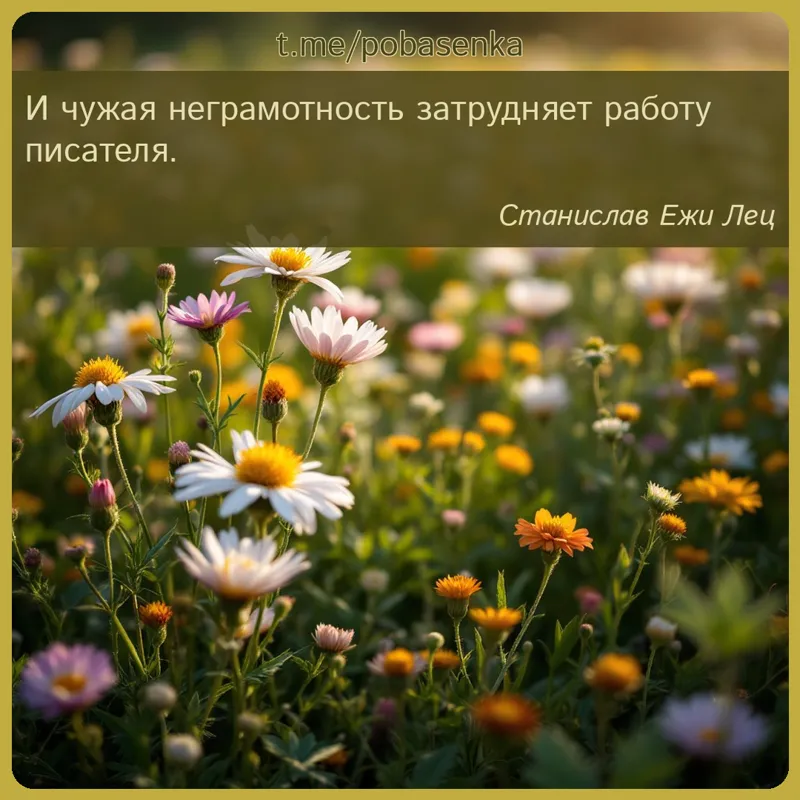 «И чужая неграмотность затрудняет работу...» height="550" width="550"
