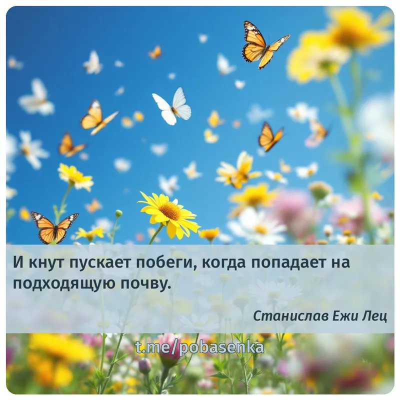 «И кнут пускает побеги, когда попадает на подходящую...» height="550" width="550"