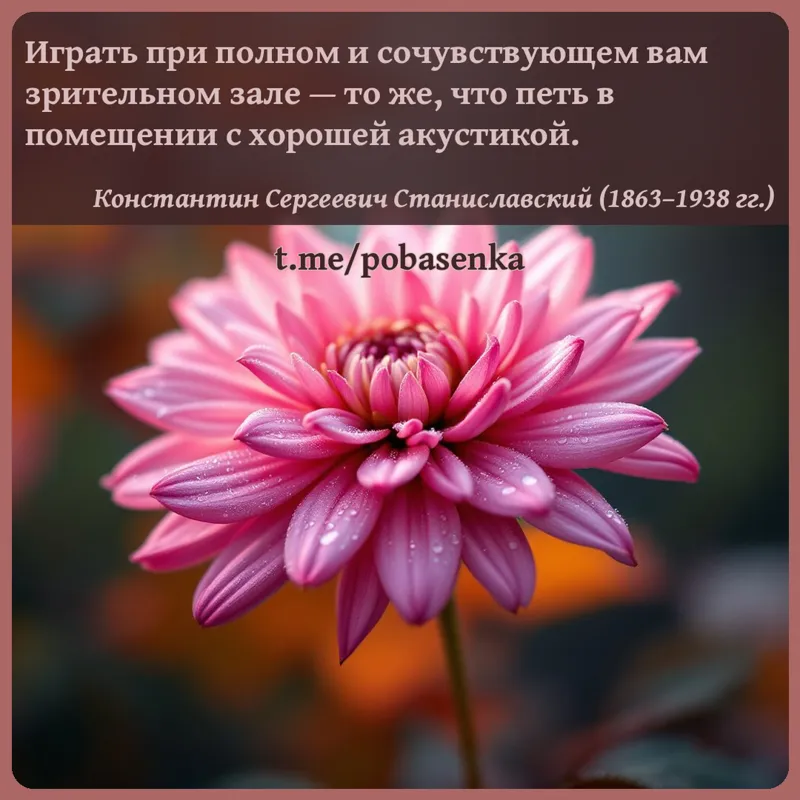 «Играть при полном и сочувствующем вам зрительном зале — то же, что петь в помещении с хорошей...» height="550" width="550"