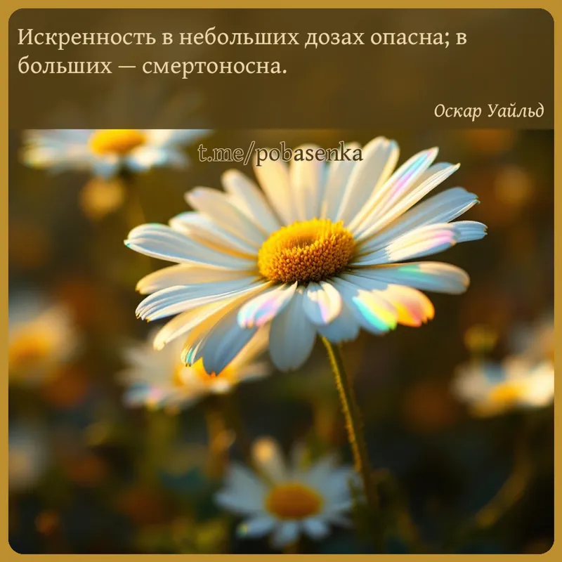 «Искренность в небольших дозах опасна; в больших —...» height="550" width="550"
