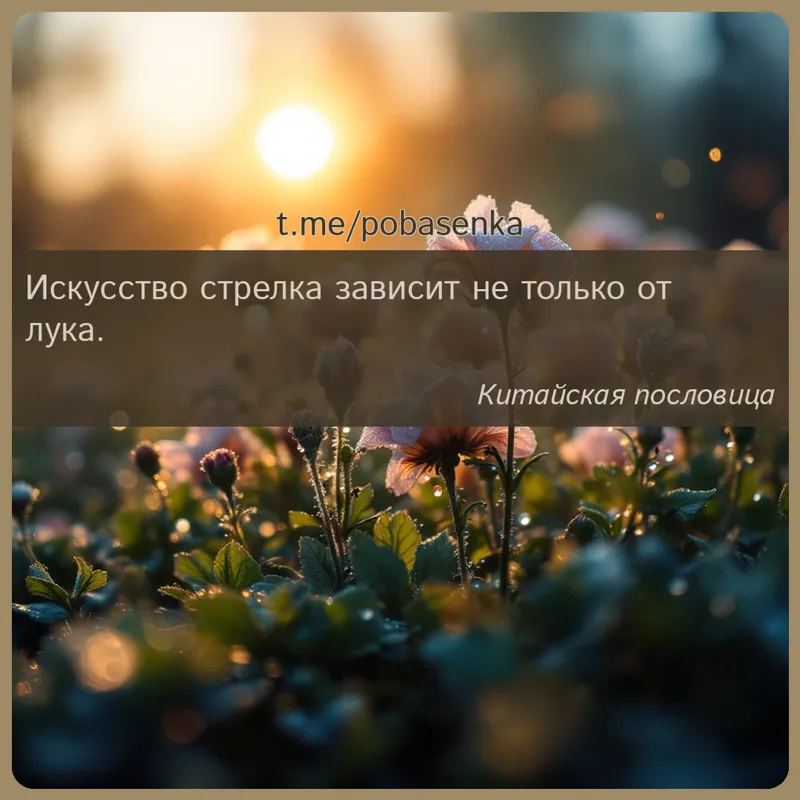 «Искусство стрелка зависит не только от...» height="550" width="550"