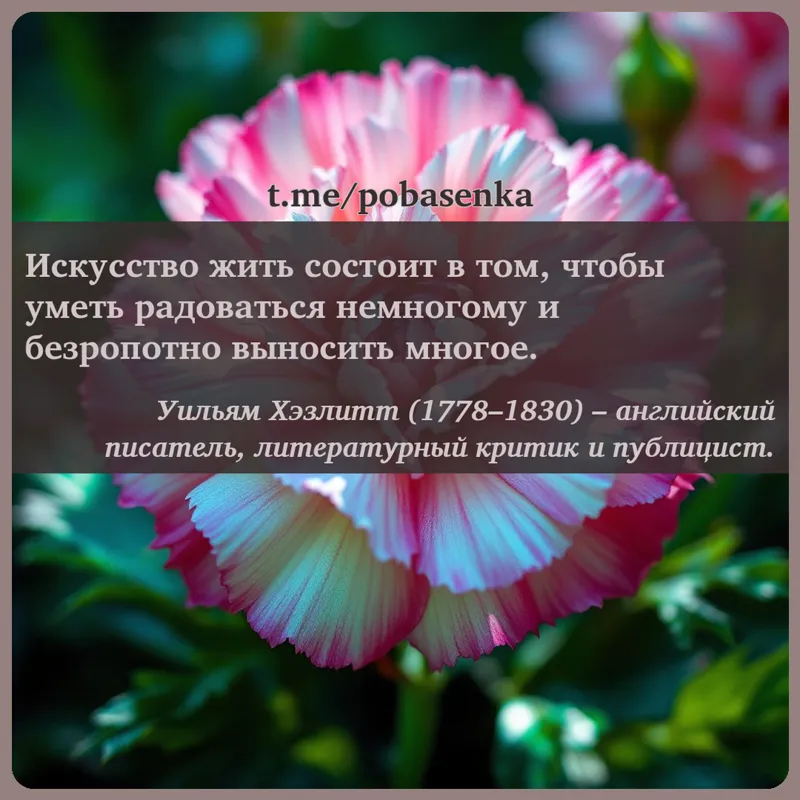 «Искусство жить состоит в том, чтобы уметь радоваться немногому и безропотно выносить...» height="550" width="550"