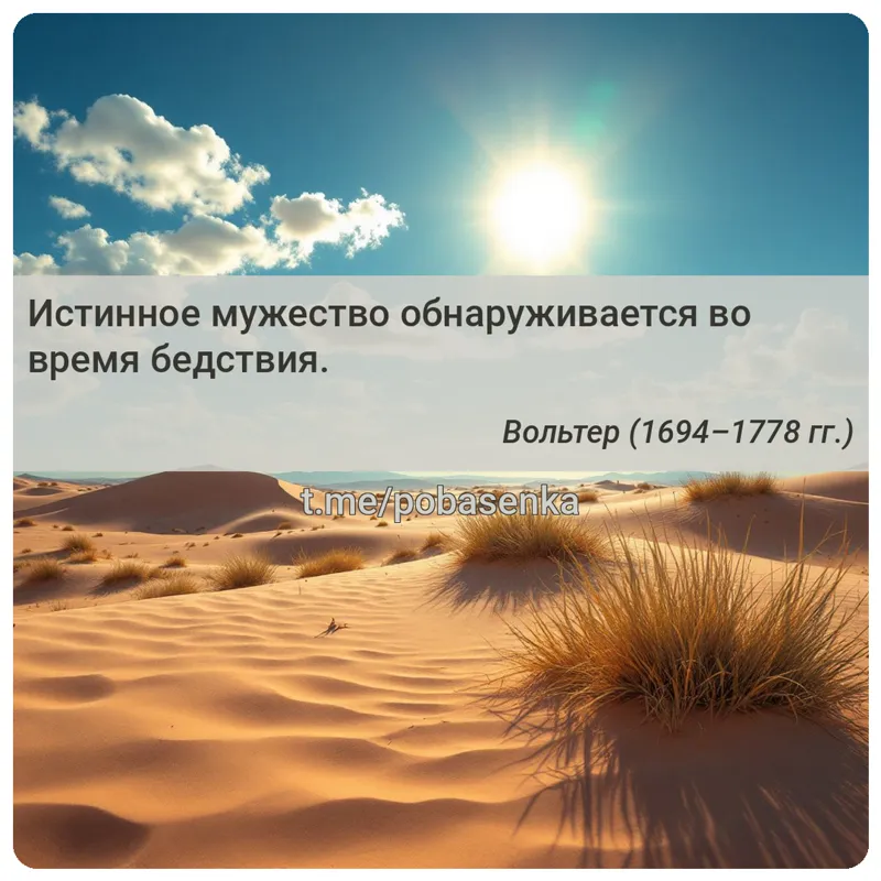 «Истинное мужество обнаруживается во время...» height="550" width="550"
