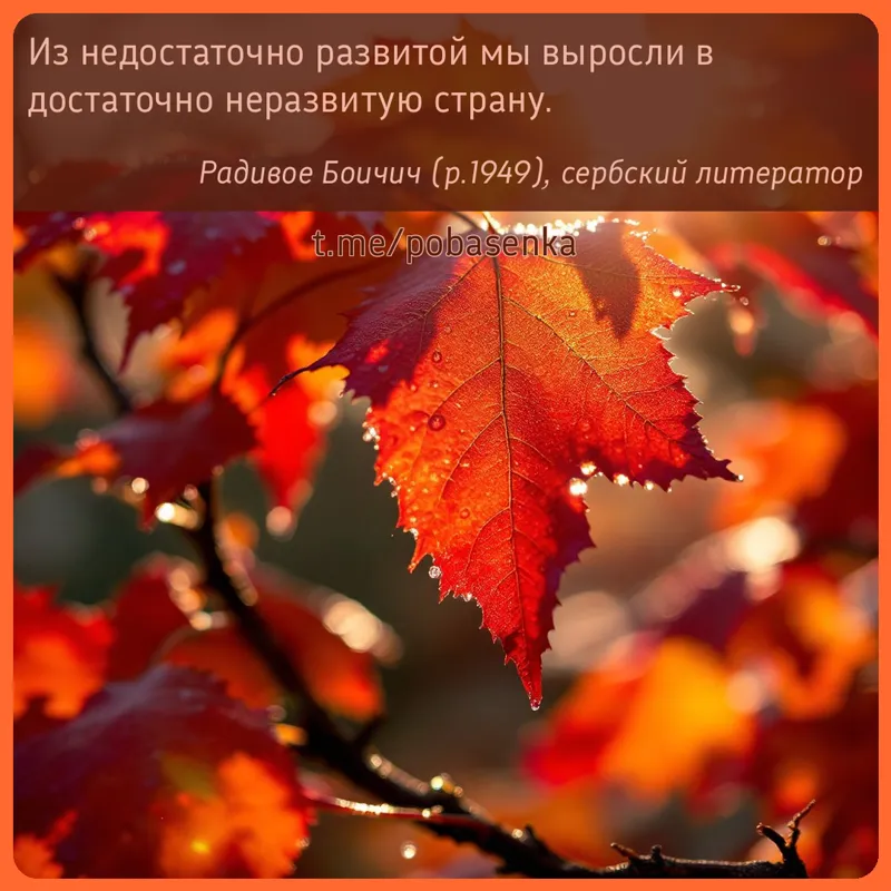 «Из недостаточно развитой мы выросли в достаточно неразвитую...» height="550" width="550"