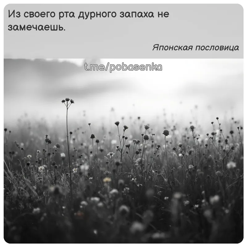 «Из своего рта дурного запаха не...» height="550" width="550"