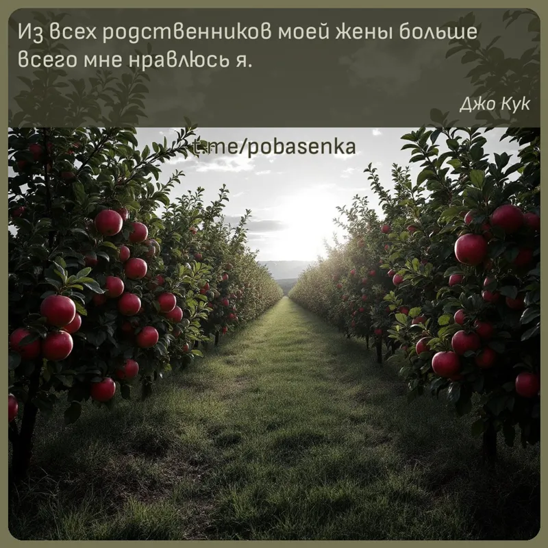 «Из всех родственников моей жены больше всего мне нравлюсь...» height="550" width="550"