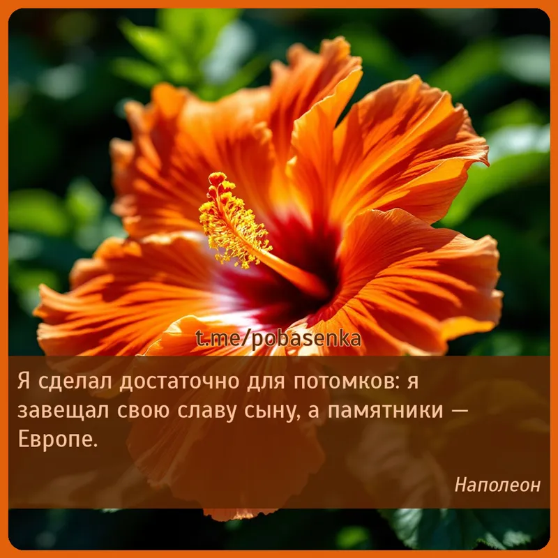 «Я сделал достаточно для потомков я завещал свою славу сыну, а памятники —...» height="550" width="550"