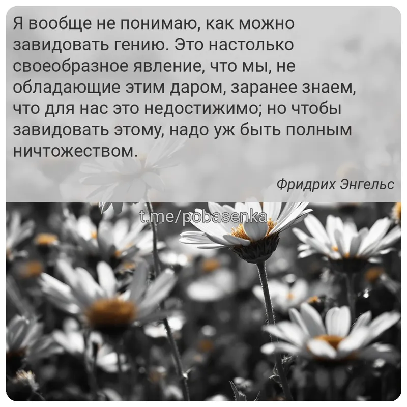 «Я вообще не понимаю, как можно завидовать гению. Это настолько своеобразное явление, что мы, не обладающие этим даром,...» height="550" width="550"