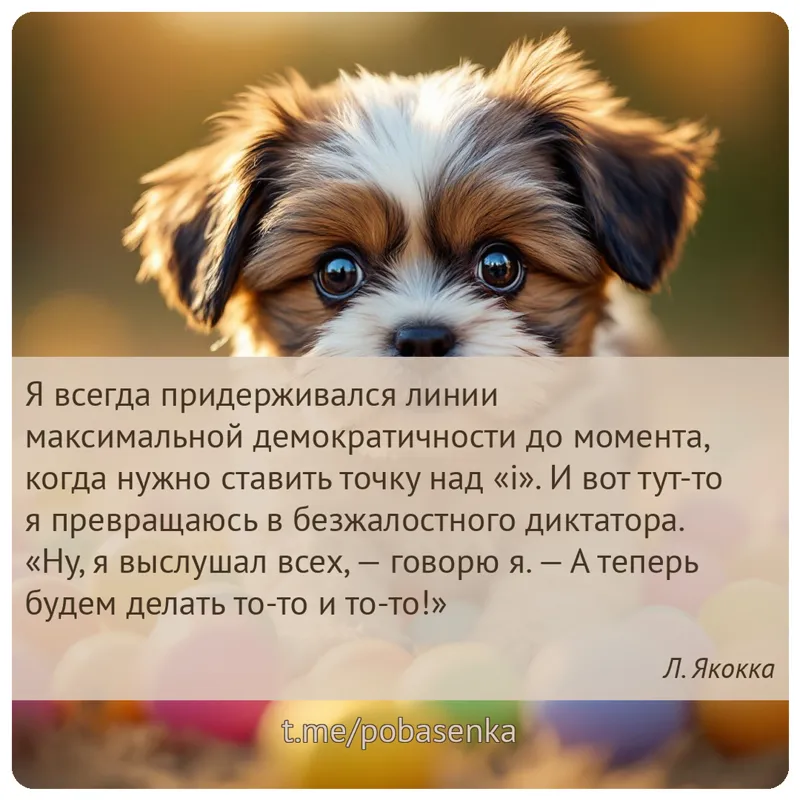 «Я всегда придерживался линии максимальной демократичности до момента, когда нужно ставить точку над. И вот тут то я...» height="550" width="550"